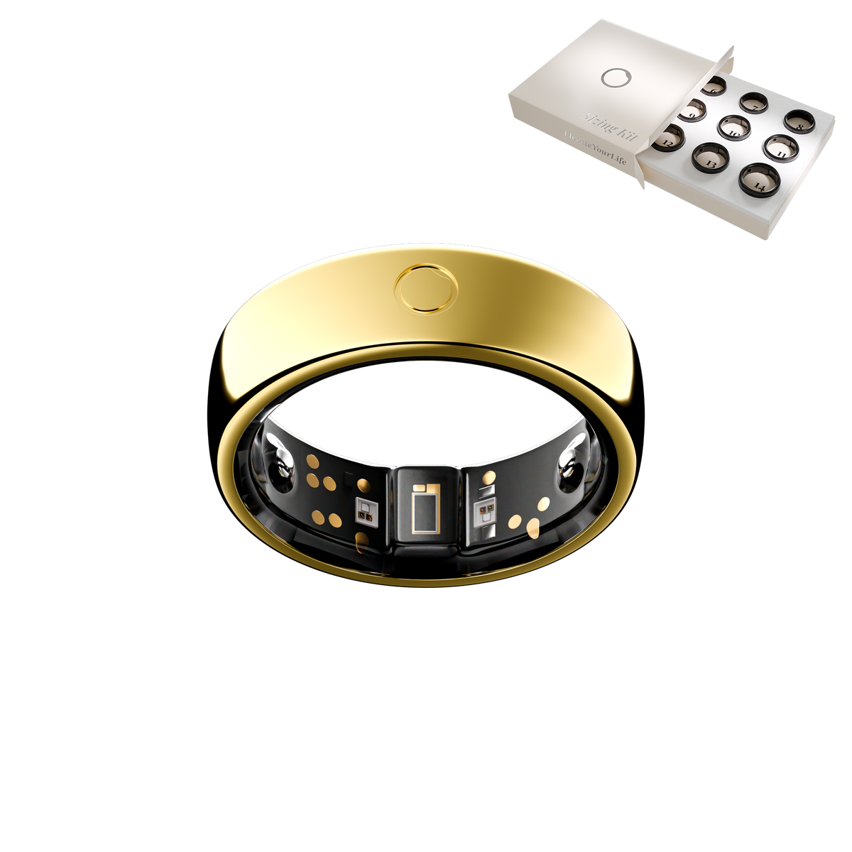 Circular ring Gold with Sizing Kit