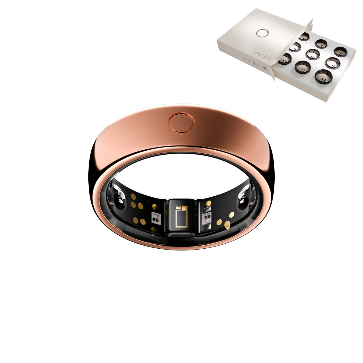 Circular ring Rose Gold with Sizing Kit